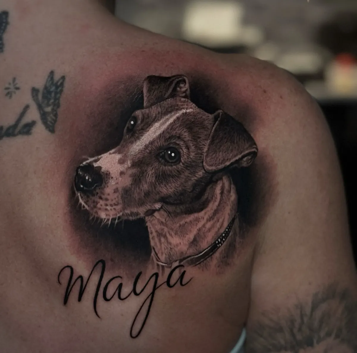 Hondenportret met de naam Maya